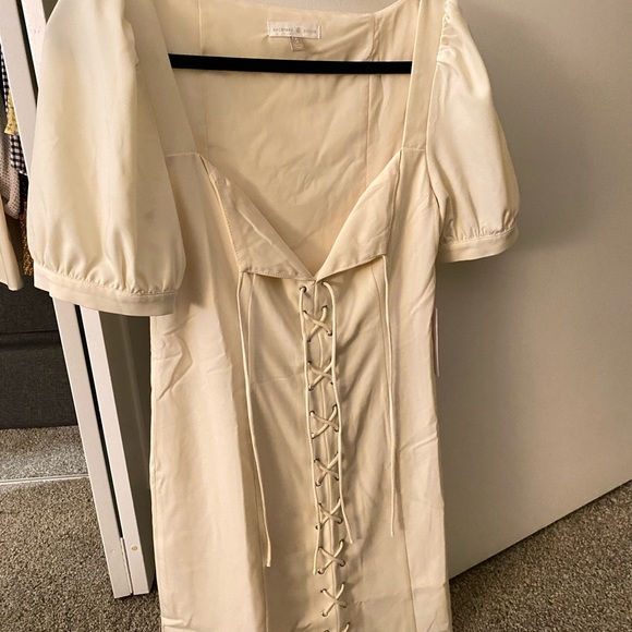 Backyard Roses Oak Mini Dress - Picture 3 of 7